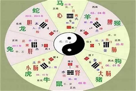 王 五行|[汉字王的五行属性是什么